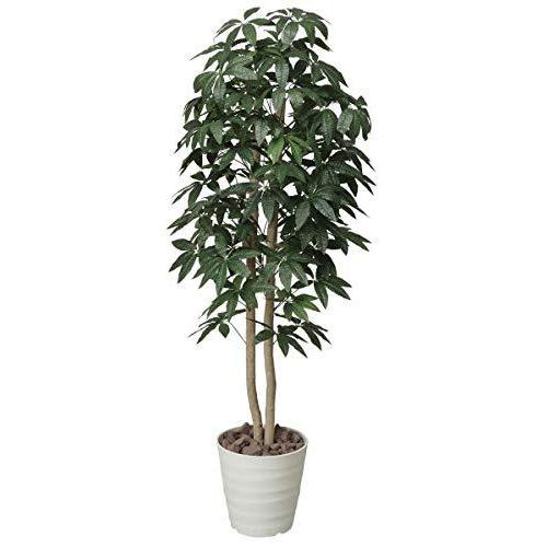 買取 沖縄 人工観葉植物 光の楽園 パキラツリ 1 6m ひまわりshop 通販 Yahoo ショッピング 販売売 Franks Restaurant Com