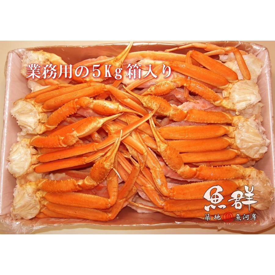 築地魚群 ボイルズワイガニ ロシア産 5kg|himawari-shopping|03