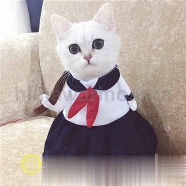 新品 犬服 猫服 犬用 ネコ猫用 服 コスプレ 仮装 洋服 おもしろい 子猫 変身 着ぐるみ ペット服 ねこ 犬用 直立 コスチューム ネコ いぬ かわいい ウェア｜himawarinosora｜07