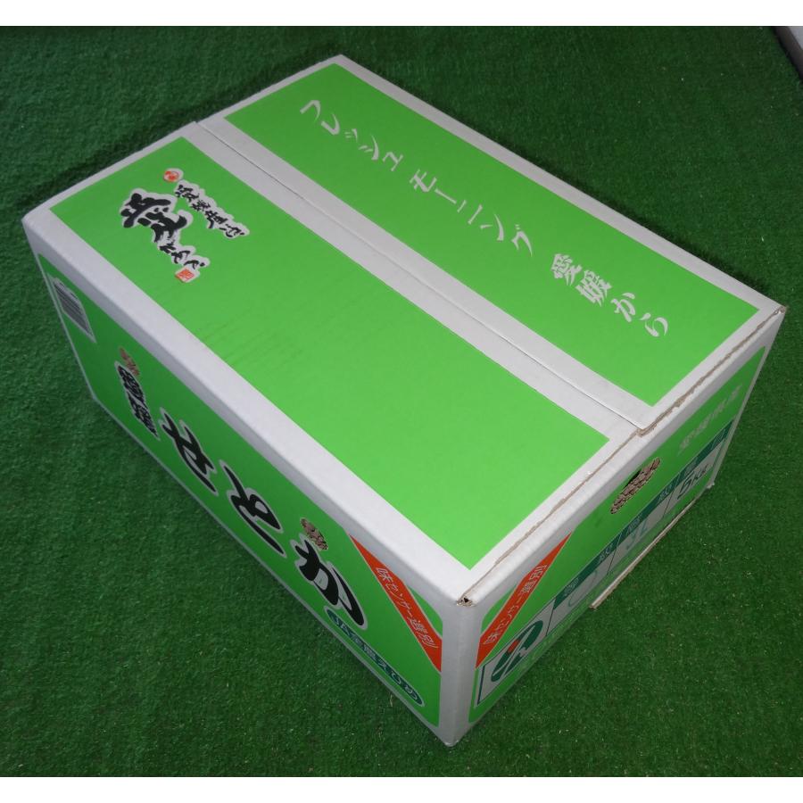 【期間限定500円割引中！】愛媛県産 せとか　（Ｌ・２Ｌ・３Ｌ・４Ｌサイズをご指定ください）みかん　愛媛　柑橘　　同一商品￥11,000以上で送料無料 |  | 04