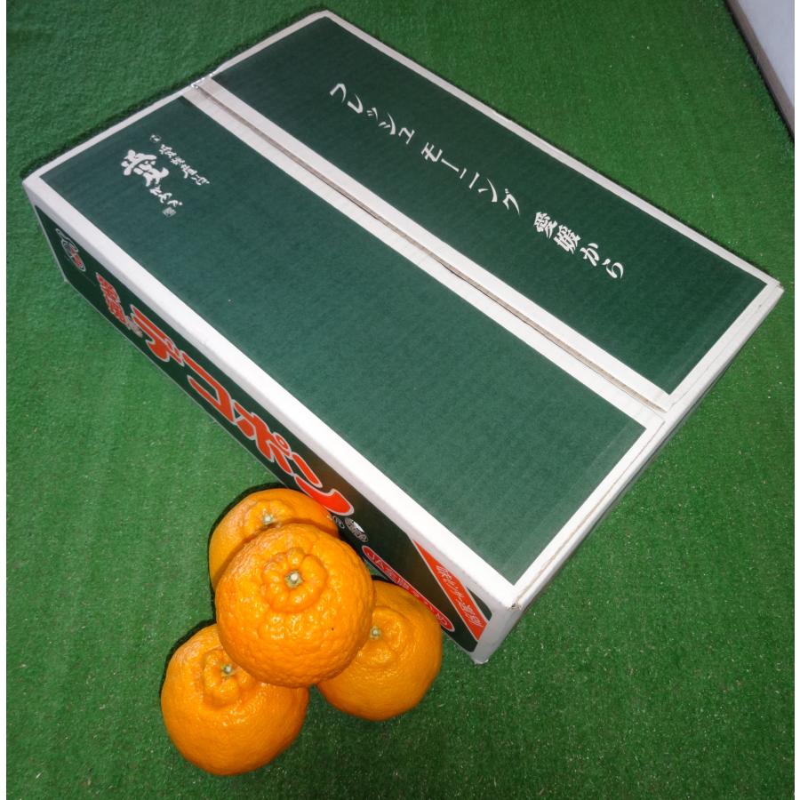 【おためしセール中】愛媛県産 デコポン　お試しサイズ（2kg L〜3L  家庭用）　みかん　愛媛　柑橘 お試し　　同一商品￥11,000以上で送料無料 |  | 02