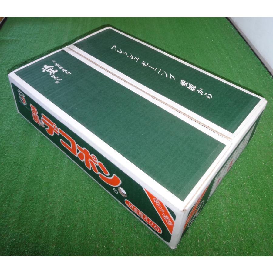 【おためしセール中】愛媛県産 デコポン　お試しサイズ（2kg L〜3L  家庭用）　みかん　愛媛　柑橘 お試し　　同一商品￥11,000以上で送料無料 |  | 03