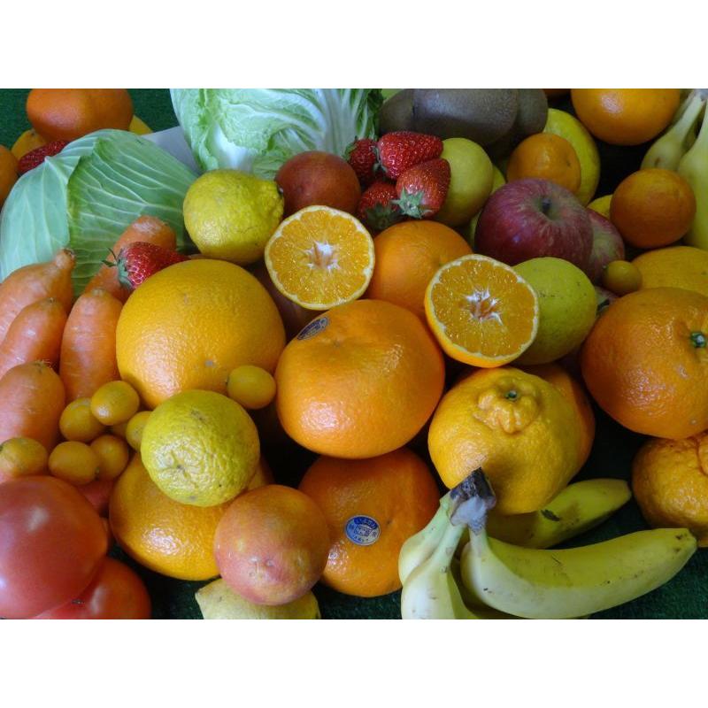 【期間限定500円割引中！】愛媛　砥部町（旧広田村）の自然薯（１Kg　1〜2本）山芋　愛媛　じねんじょ |  | 04