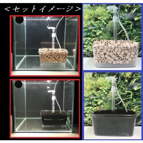 チョイス ｆ ｃｕｂｅ エフ キューブ プラス エアーリフト式底面フィルター E010 姫えびすヤフー店 通販 Yahoo ショッピング