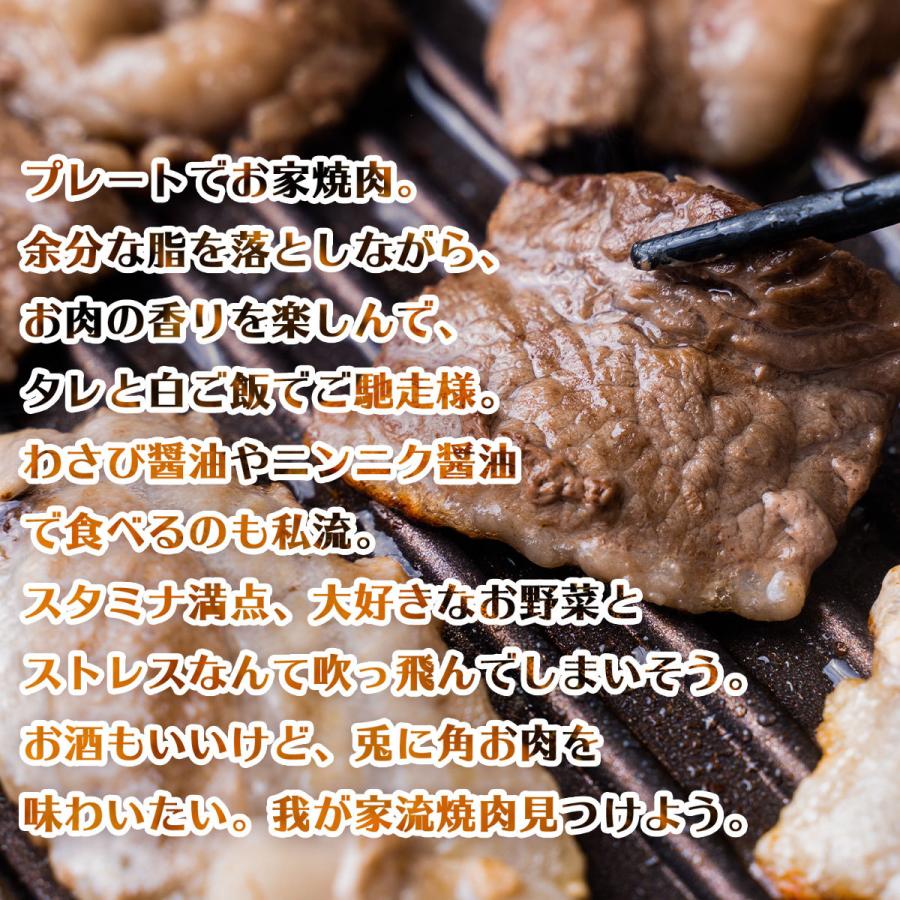 焼肉 肉 牛肉 黒毛姫牛 バラカルビ 500g 鹿児島県産 ギフト 黒毛和牛 H 16 Kitchen姫ファーム 通販 Yahoo ショッピング