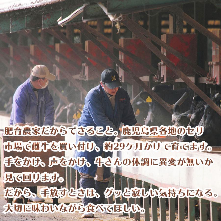 焼きしゃぶ 黒毛和牛 姫牛 リブロース （500ｇ） 牛肉 鹿児島県産 すき焼き しゃぶしゃぶ 黒毛和牛 牛肉 すき焼き しゃぶしゃぶ
