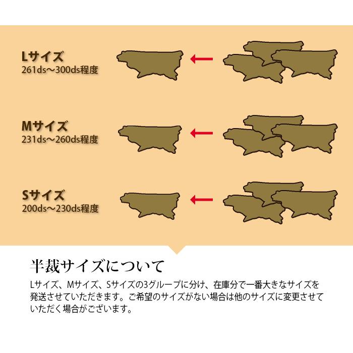 本革 半裁サイズ ヌメ床【オーダーカット対応】日本製( ハンドメイド