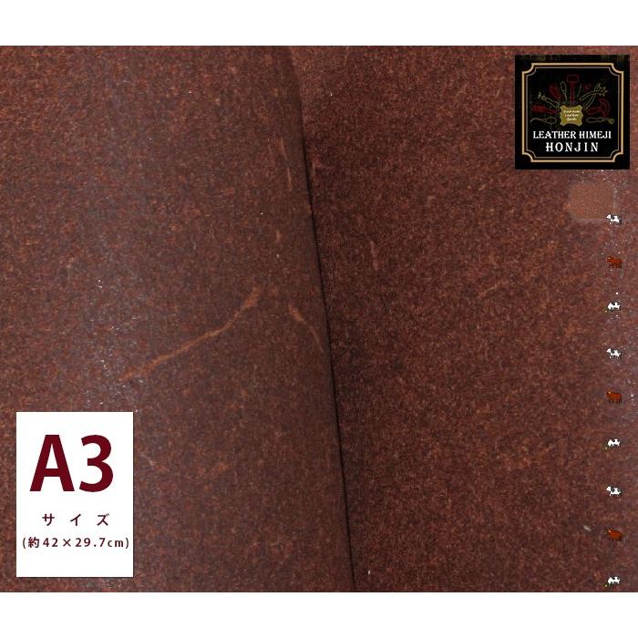 コンバットコンディショニングマット・フューリー日本語版他1冊黒、赤