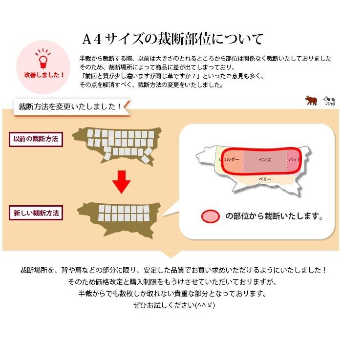 本革 A4サイズ ヌメ革きなり【オーダーカット、レーザー加工、UV