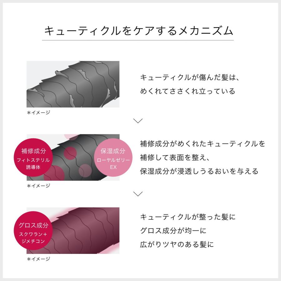 フィーノ 【送料無料・まとめ買い×5点セット】ファイントゥデイ fino