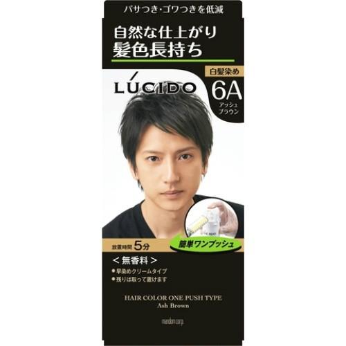 堅実な究極の メンズヘアケア ヘアカラー 毛染め 男性用毛染め 送料無料 まとめ買い 5点セット マンダム ルシード ワンプッシュケアカラー アッシュブラウン Www Threeriversofs Com