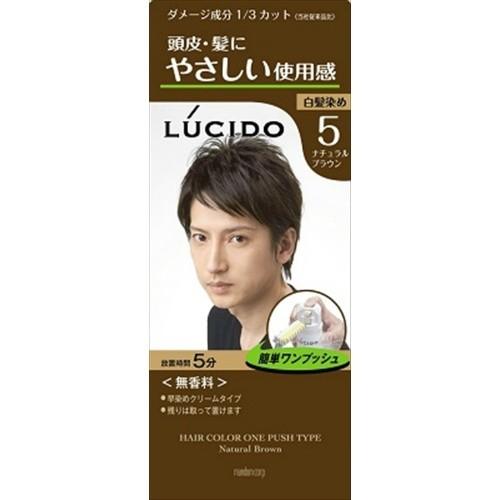 予約 メンズヘアケア ヘアカラー 毛染め 男性用毛染め 送料無料 まとめ買い 5点セット マンダム ルシード ルシード ワンプッシュケアカラー ナチュラルブラウン 医薬部外品 1コ Www Threeriversofs Com