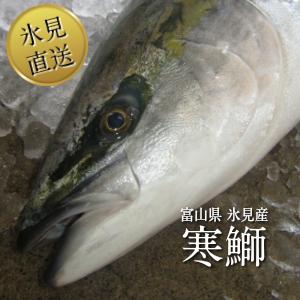 【送料無料】氷見 寒ブリ 氷見産 天然 寒鰤 8〜9kg台物の半身 : 氷見の鮮魚 角安商店 - 通販 - Yahoo!ショッピング