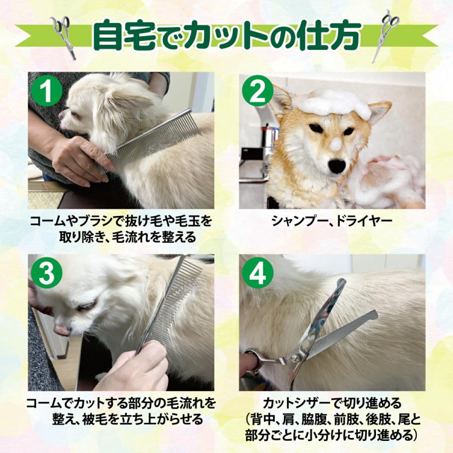素晴らしい 左用 ケリー Wls 70 ストレートシザー 犬用 トリミング はさみ ペット 用品 プロトリマー カット お手入れ ハサミ Fucoa Cl
