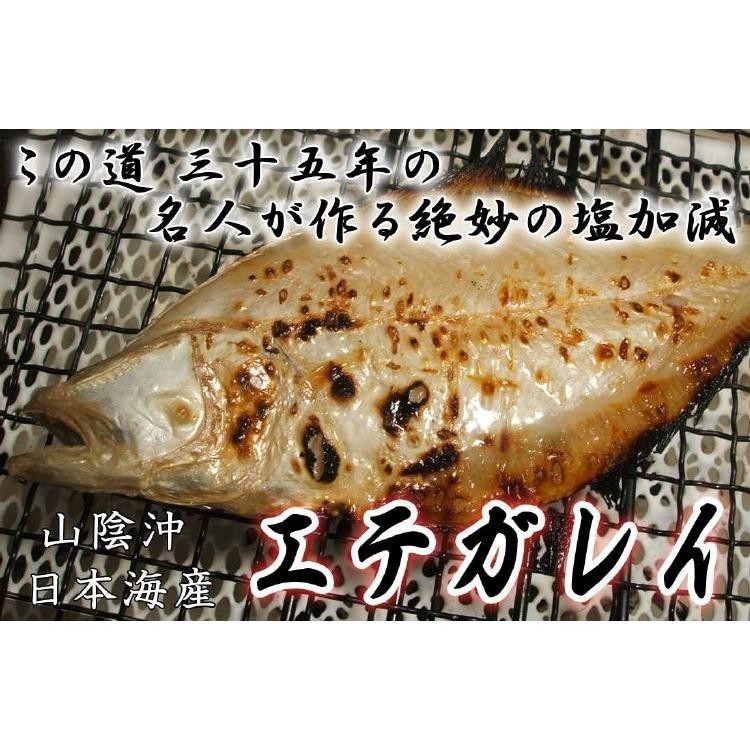 海外正規品 えてかれい 干物 詰め合わせ 宗八かれい 干物ギフト お取り寄せグルメ 干物セット 送料無料 Materialworldblog Com