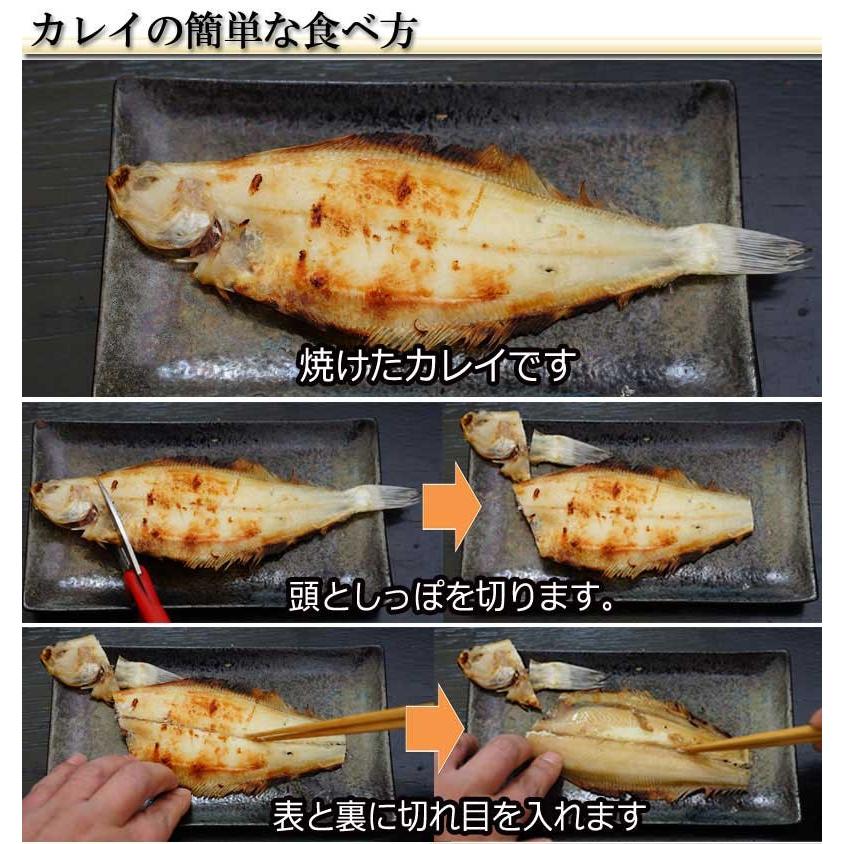 ひもの 干物セット 詰め合わせ 送料無料 笹かれい やなぎかれい 詰め合わせ Sa 50 Sa1 とっとり しまね山陰逸品館 通販 Yahoo ショッピング