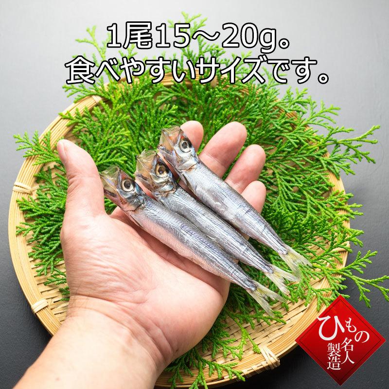 うるめいわし 一夜干し うぶき 干物 単品 お取り寄せグルメ T Ubu とっとり しまね山陰逸品館 通販 Yahoo ショッピング