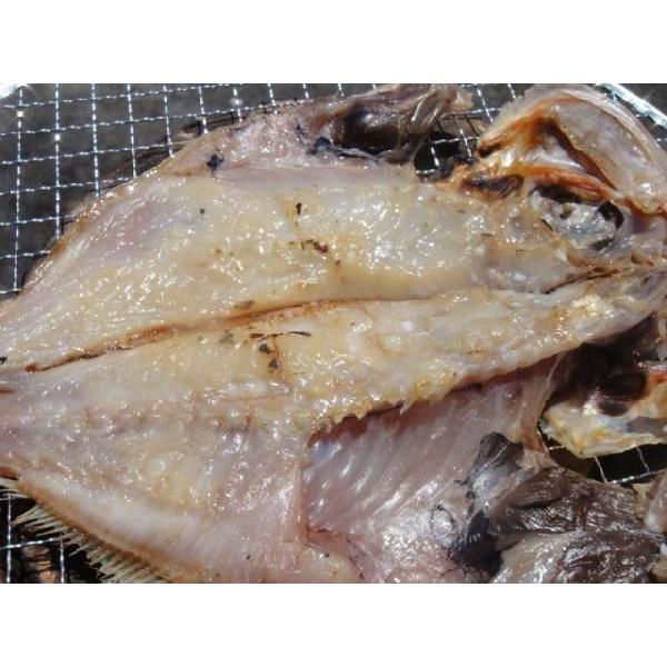 メーカー公式ショップ 干物セット 干物 詰め合わせ ギフト 送料無料 ギフトｃ 真あじ かます えぼ鯛 きんめ鯛 いか かれい かわはぎ Materialworldblog Com