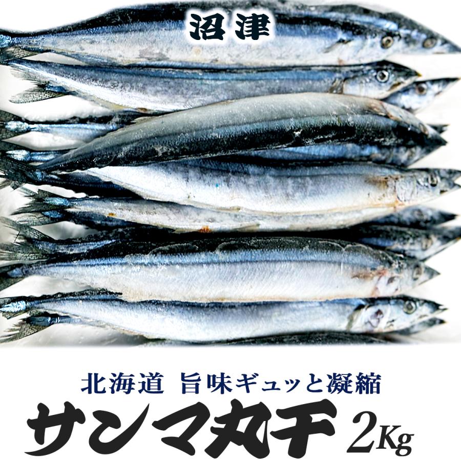 35%割引 干物 沼津 さんま丸干し 2Kg 約30〜36匹 人気 北海道 秋刀魚