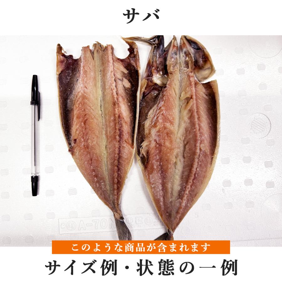 特価 干物 訳あり 沼津 どっさり ひもの 詰合せ 1.5Kg 魚種お楽しみ