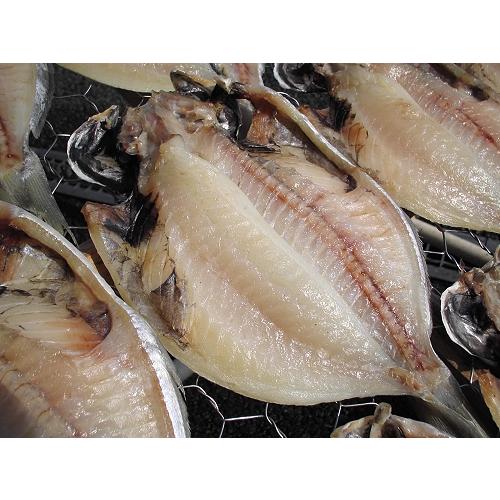 日本未入荷 エボダイ干物 1枚