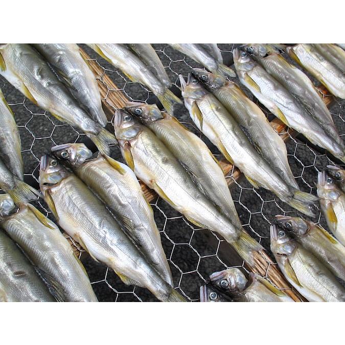 鮎 アユ 干物 1枚 Jht 15 干物屋沼津ふなとyahoo 店 通販 Yahoo ショッピング
