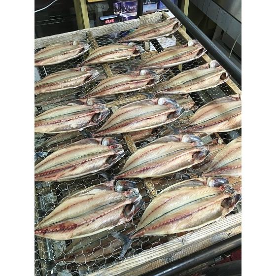 トロサバ干物 中 1枚 鯖と言う魚のイメージを変える無添加干物 サバ好きに人気の沼津ふなと自慢の品です Jht 16 2 干物屋沼津ふなとyahoo 店 通販 Yahoo ショッピング