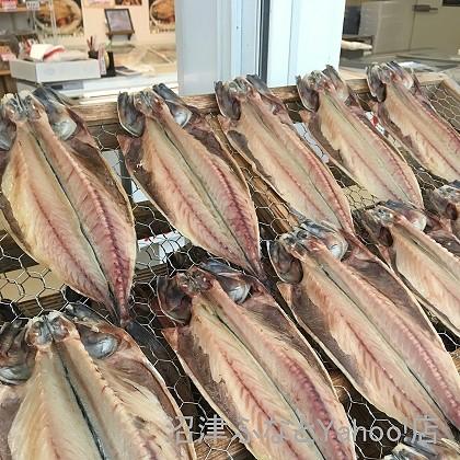 トロサバ干物 中 1枚 鯖と言う魚のイメージを変える無添加干物 サバ好きに人気の沼津ふなと自慢の品です Jht 16 2 干物屋沼津ふなとyahoo 店 通販 Yahoo ショッピング