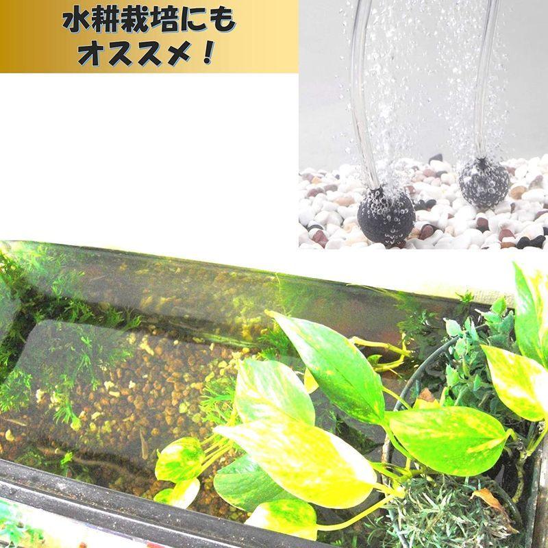 Exduct エアストーン セール特価 エアーポンプ 個 セット 直径2cm 細かい泡 エアーストーン アクアリウム 水耕栽培 酸素 小型 熱帯魚