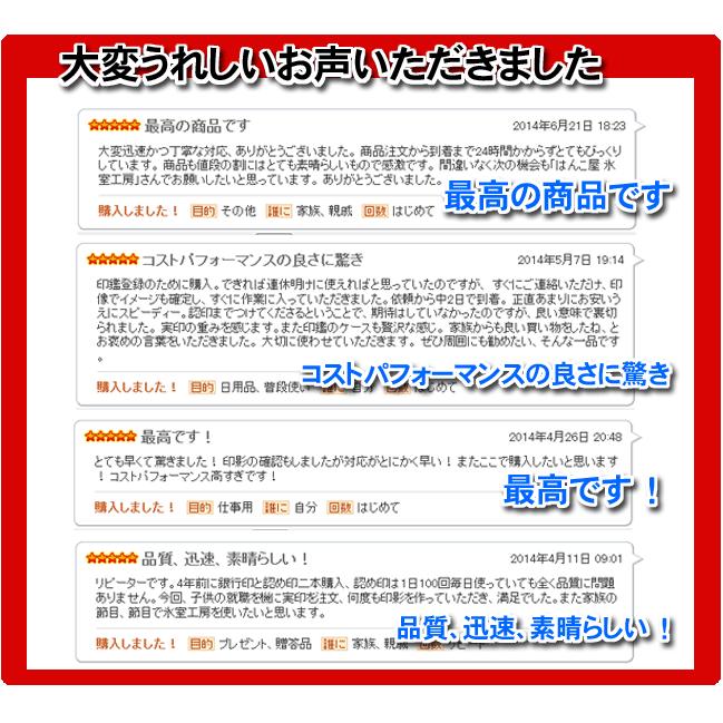 印鑑 法人印 会社印 はんこ 黒水牛 3本セット 会社設立 Bセット 会社 代表印 銀行印 法人印 代表者印 登記 24mm  角印 爆買の画像