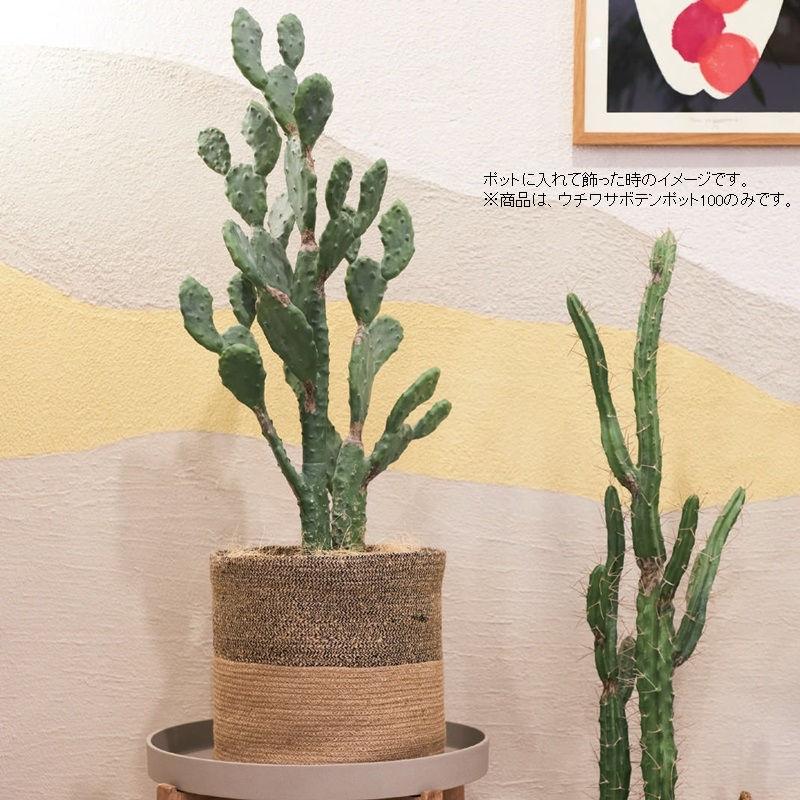 人工観葉植物 ウチワサボテン ポット 100 （1個入り） MIRAKANAの画像