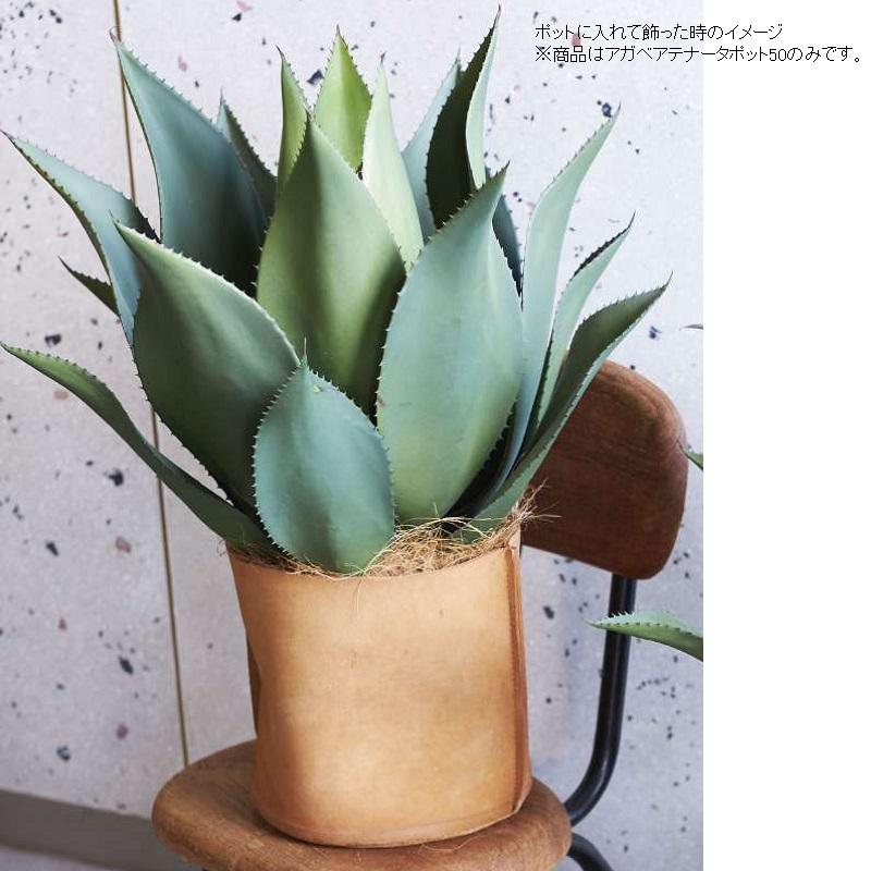 人工観葉植物 アガベ アテナータ ポット 50 （1個入り） MIRAKANAの画像