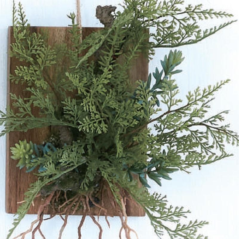 人工観葉植物 ファーン ウォール ハンギング  アカシア 20 （4個入り） MIRAKANAの画像