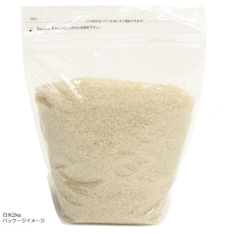 令和7年産 ヒノヒカリ 兵庫県産 ひのひかり 白米0.5kg・0.9kg・2kg