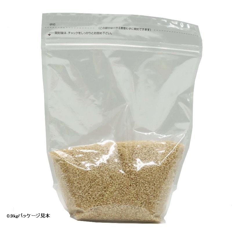 キヌヒカリ29kg 令和7年産　玄米 令和7年産 キヌヒカリ 兵庫県産 Mirakana ネオニコチノイド不使用米