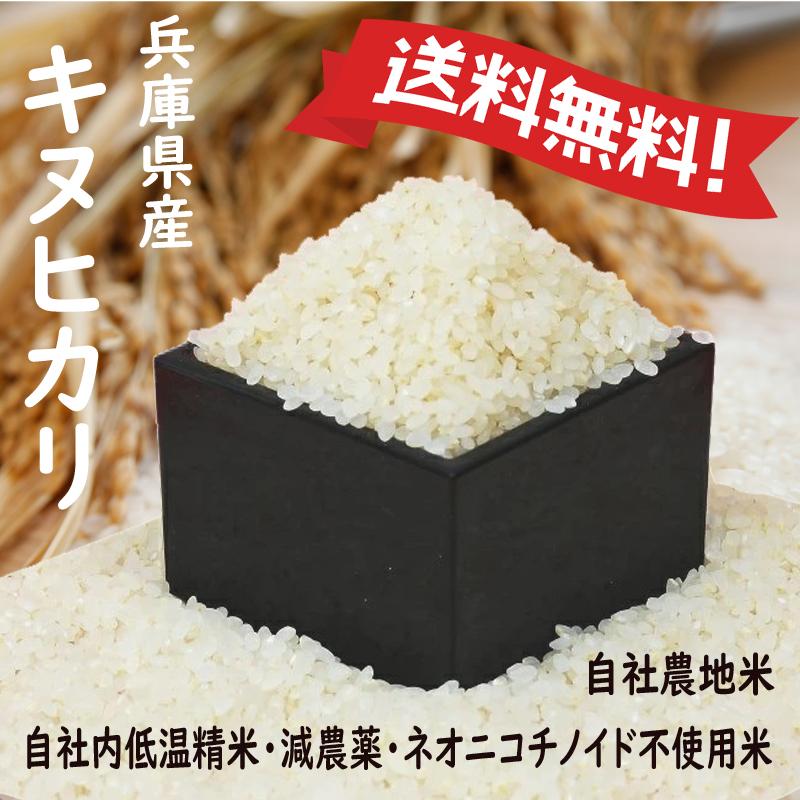 白米 お米 20㎏ 20キロ 精米済み キヌヒカリ 減農薬 【公式通販】