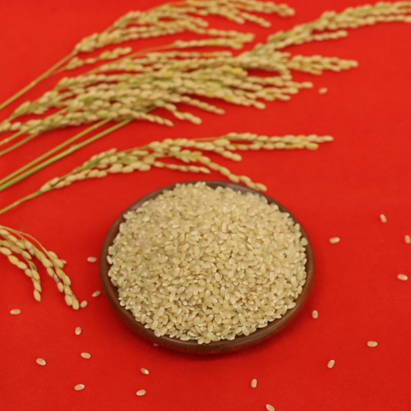 令和7年産 コシヒカリ 兵庫県産 幸せを呼ぶMirakana premium 減農薬