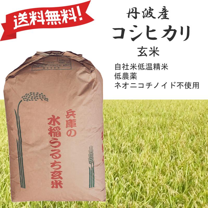 令和7年産 コシヒカリ 兵庫県 但馬 豊岡産 20kg(玄米、10kg×2袋) 令和7年産 コシヒカリ 兵庫県 但馬 豊岡産 20kg(玄米、10kg×2袋