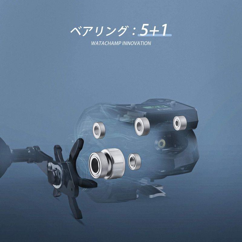 ワタチャンプ(WATACHAMP) ドロップショット(Drop Shot) ベイト