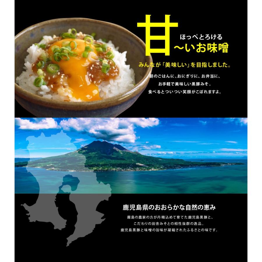 登場! ヒラヤマ食品 鹿児島特産 黒豚みそ140g 黒豚ゆずみそ130g かつおみそ140g 黒豚みそ3点セット、3種の味が選べるヒラヤマ食品