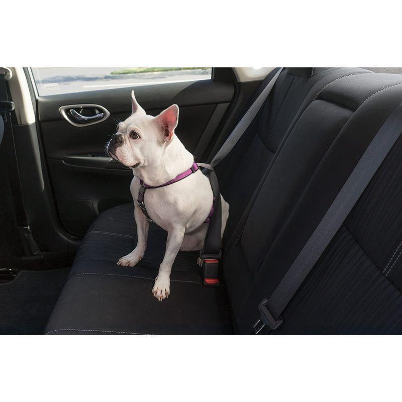 Petsafe 3 In 1 犬 ハーネス 小型犬 引っ張り防止 調整簡単 抜けない 耐久性が高い 夜間反射 車の中で安全 S グリーン 猫の服