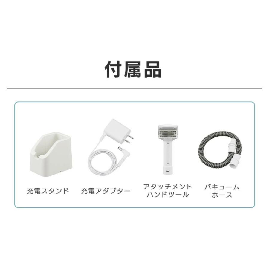 IRIS OHYAMA（アイリスオーヤマ） 【専用洗浄液付き】ハンディリンサー
