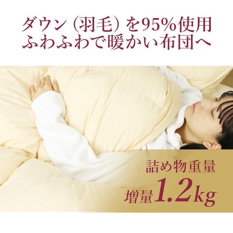 羽毛布団 掛け布団 シングル 冬用 羽毛掛け布団 6つ星プレミアムグース