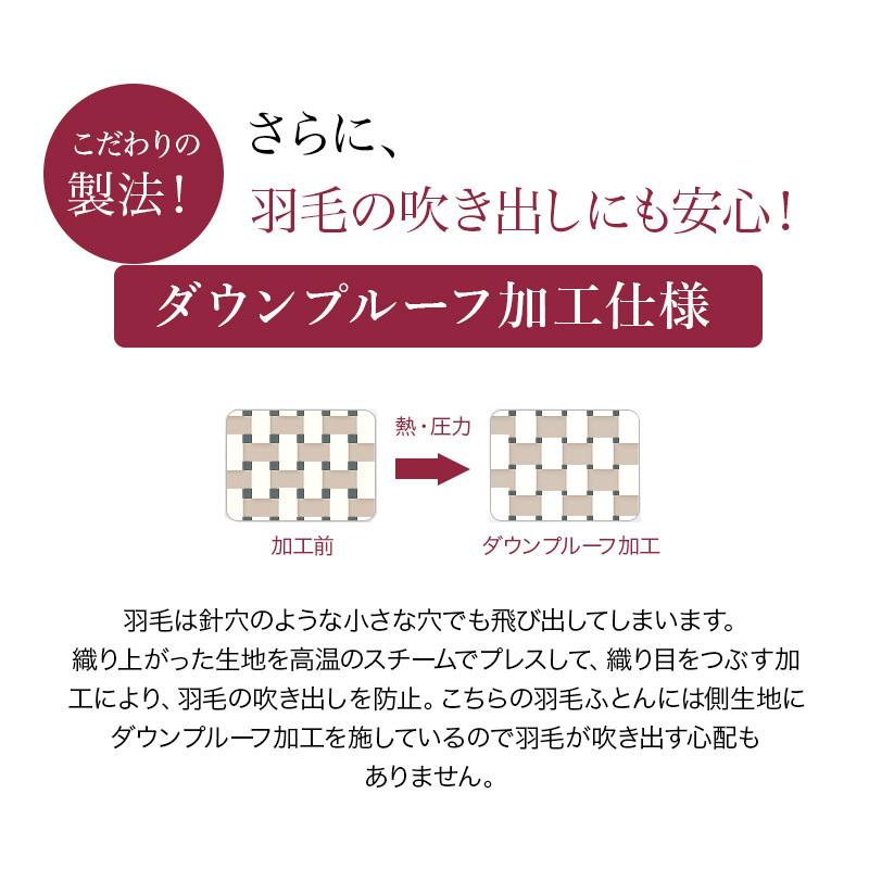 新品【六つ星】ブラックラベル＊フランス産９５％増量１，２キロ＊二層羽毛布団ＳＢ 羽毛布団 掛け布団 シングル 冬用 羽毛掛け布団 6つ星プレミアム