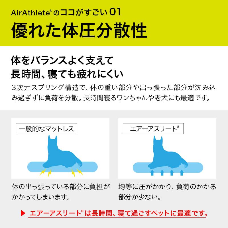 ペット マット エアーアスリート Lサイズ 介護 洗える 猫 犬 老犬介護