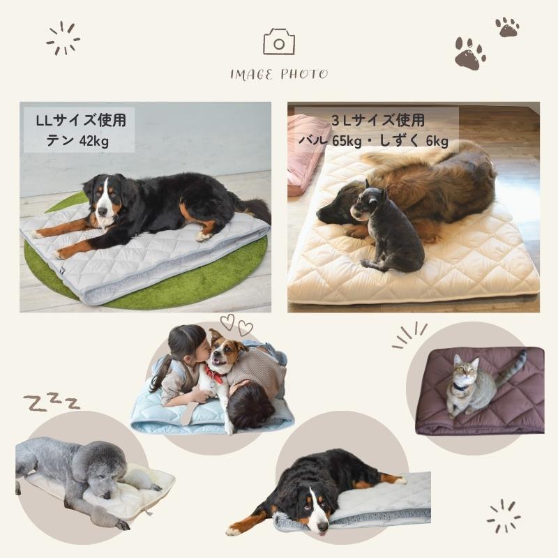 ペット マット エアーアスリート SSサイズ 介護 洗える 猫 犬 老犬介護