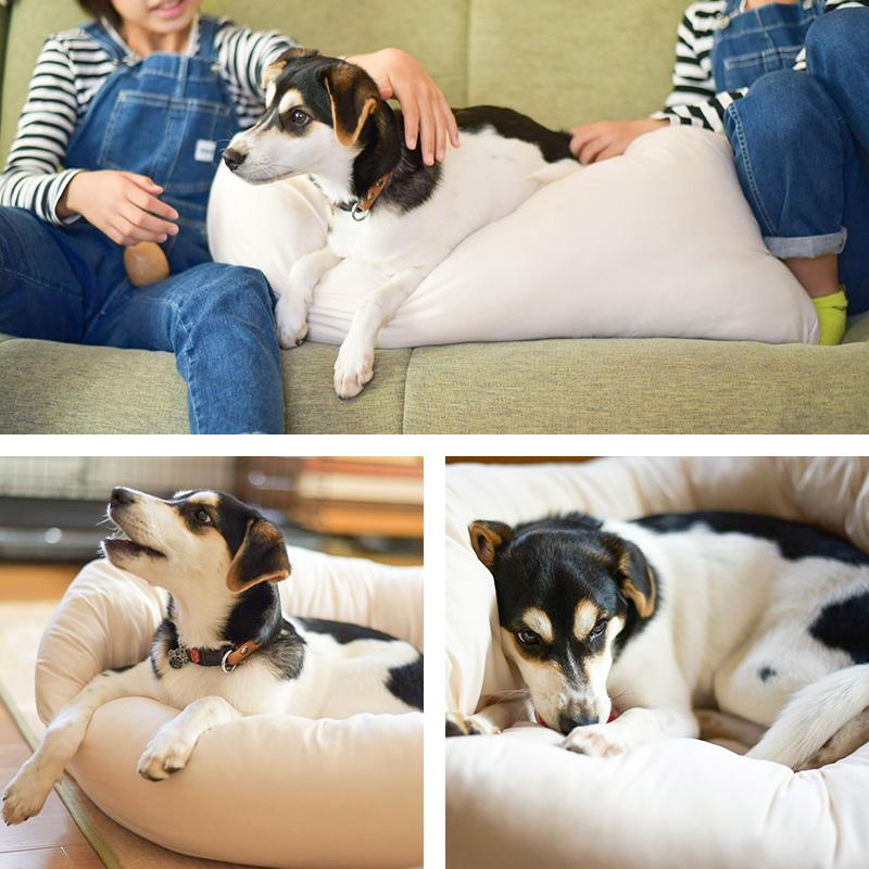 ペット ベッド ペットのおふとん はいるにゃん シリーズ OFURO L 犬の