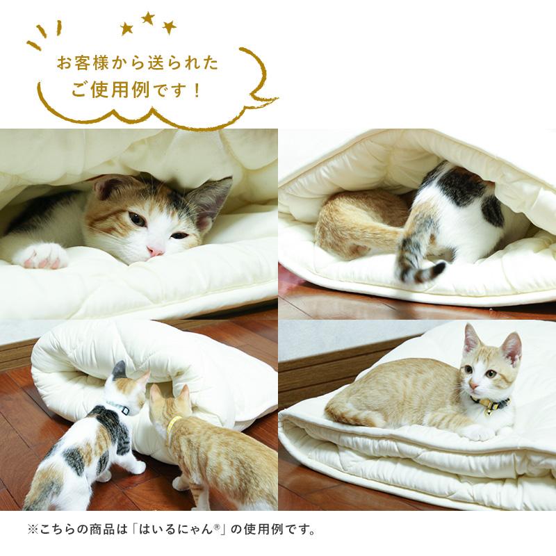ペット ベッド はいるにゃんシリーズ はいるにゃんDX Lサイズ ペット ベッド はいるにゃんシリーズ はいるにゃんDX Lサイズ