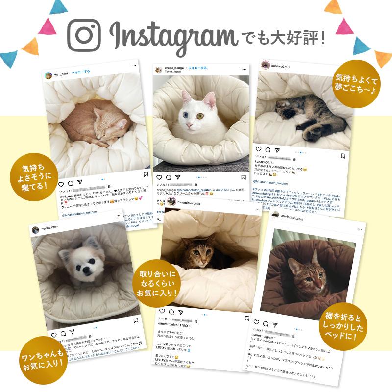 ペット ベッド はいるにゃんシリーズ はいるにゃんDX Lサイズ ペットの