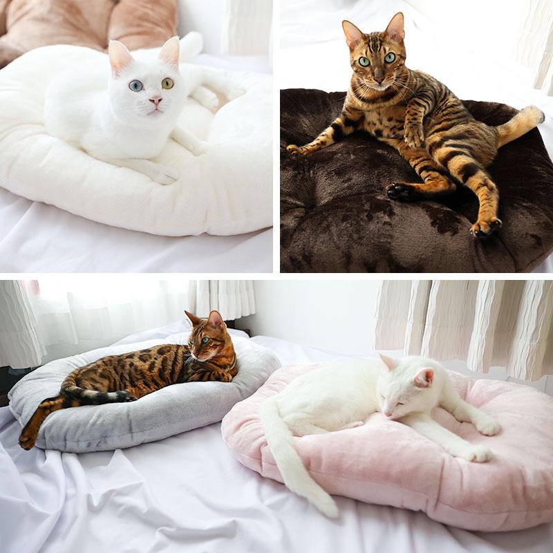 ペット 布団 おふとん屋さんが作ったペットのおふとん KOBAN S